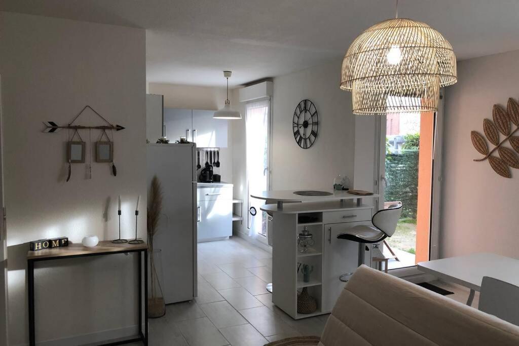 Appartement Cosy Avec Jardin A Blagnac. Ngoại thất bức ảnh