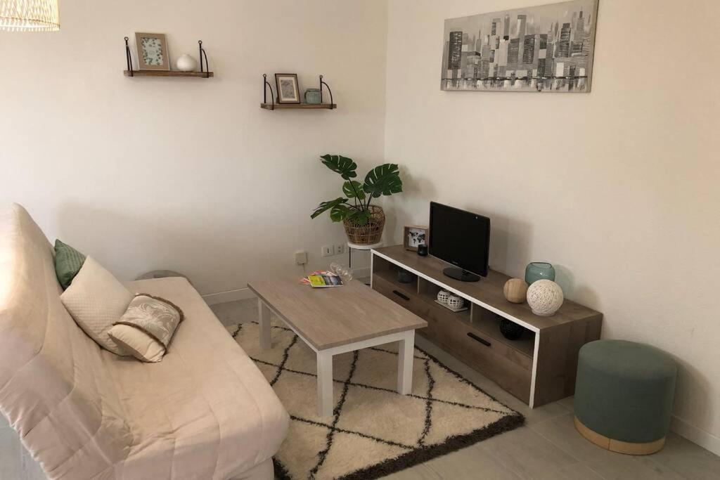 Appartement Cosy Avec Jardin A Blagnac. Ngoại thất bức ảnh